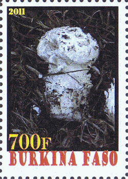 Briefmarke