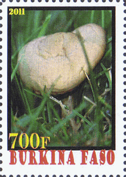 Briefmarke