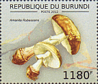 Briefmarke