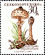 Briefmarke