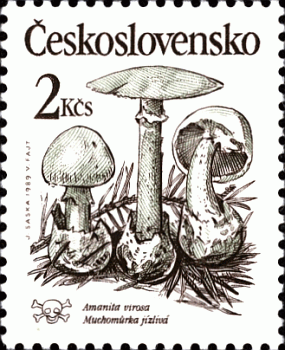 Briefmarke