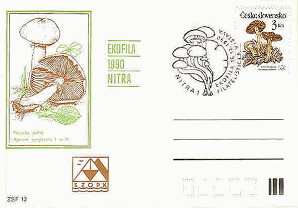 Sonderpostkarte