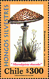 Briefmarke