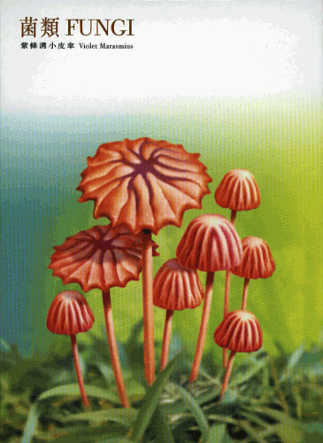 Ganzsachenumschlag
