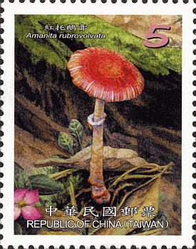 Briefmarke