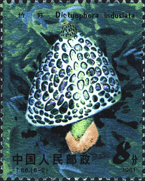 Briefmarke