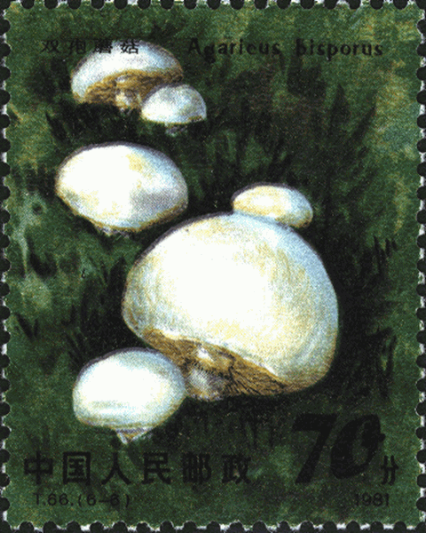 Briefmarke