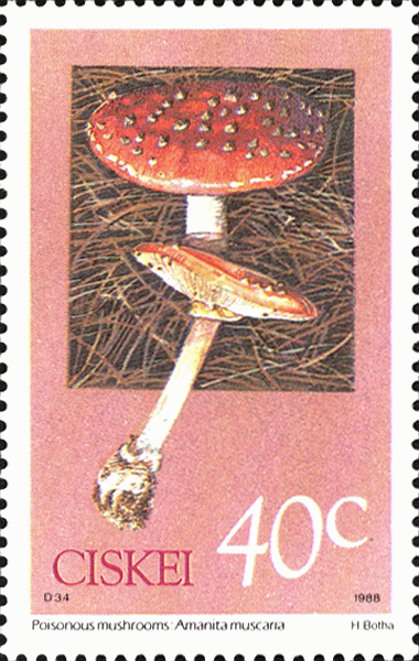 Briefmarke