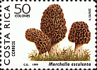 Briefmarke