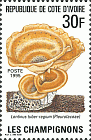 Briefmarke