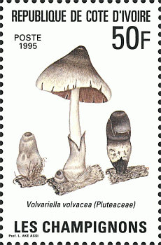 Briefmarke