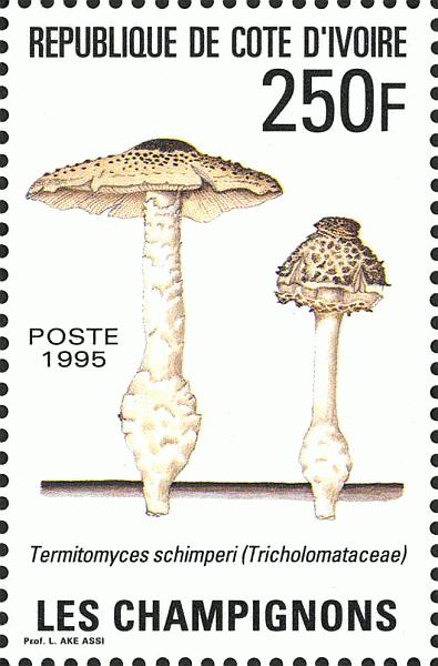 Briefmarke