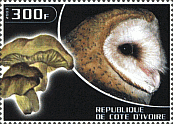 Briefmarke