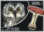 Briefmarke