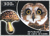 Briefmarke