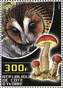 Briefmarke