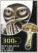 Briefmarke