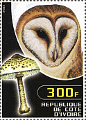 Briefmarke