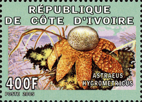 Briefmarke