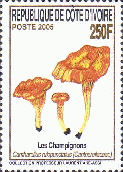 Briefmarke