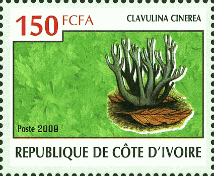 Briefmarke