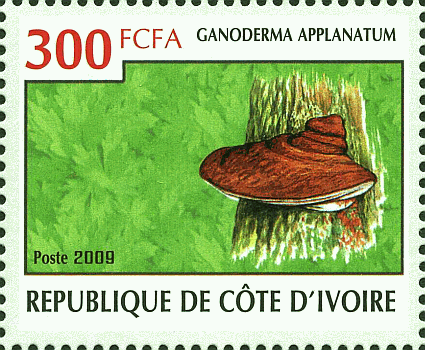 Briefmarke