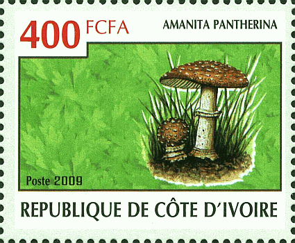 Briefmarke