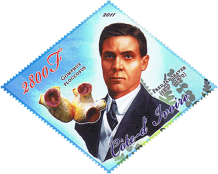 Briefmarke