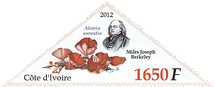 Briefmarke