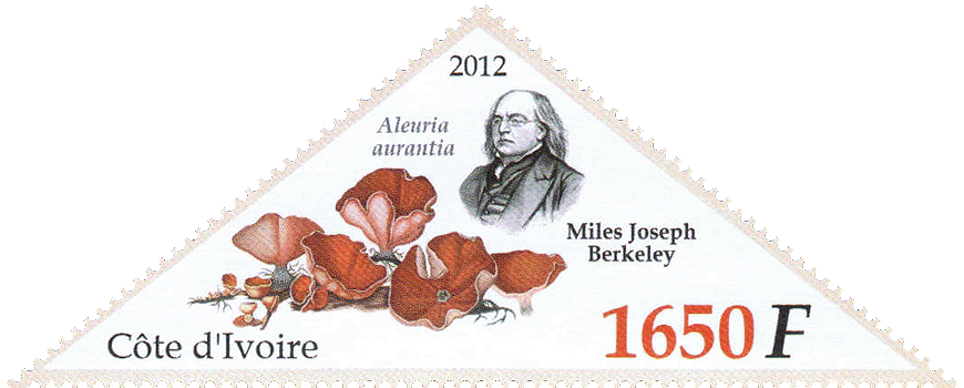 Briefmarke