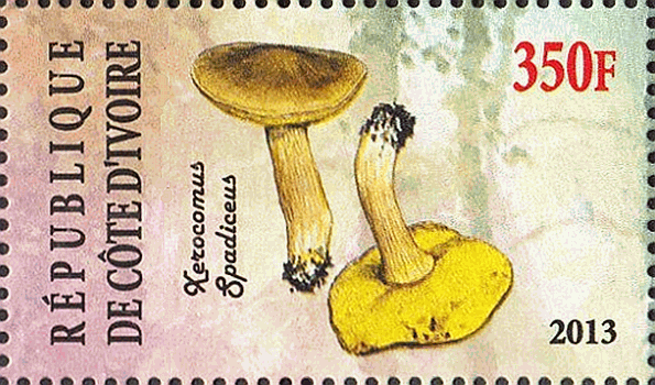 Briefmarke