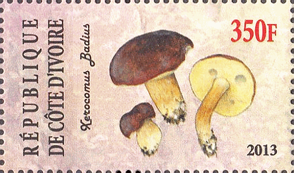 Briefmarke