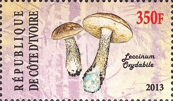 Briefmarke