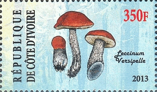 Briefmarke