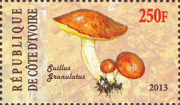 Briefmarke