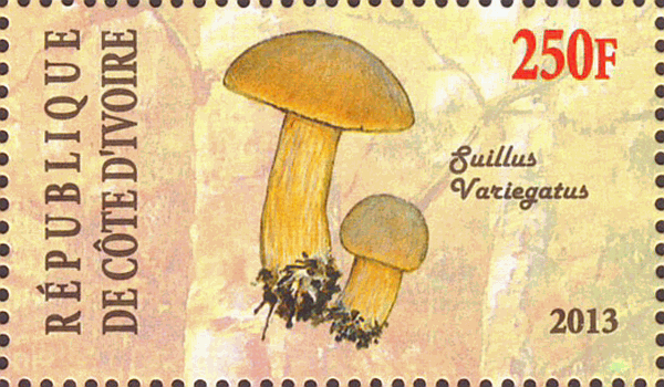 Briefmarke