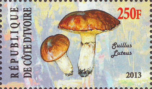 Briefmarke