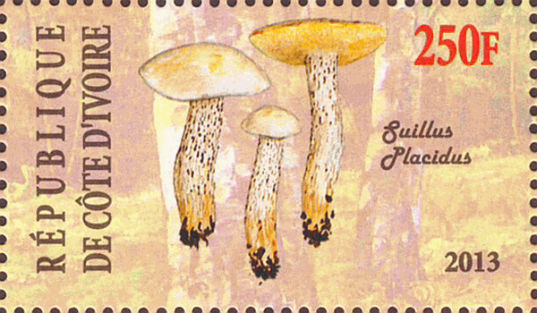 Briefmarke