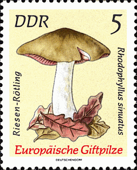 Briefmarke