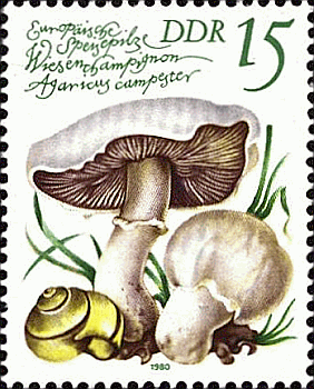 Briefmarke