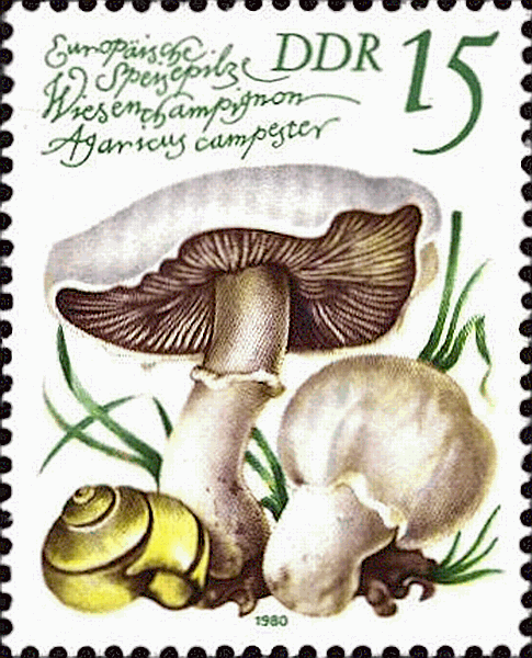 Briefmarke