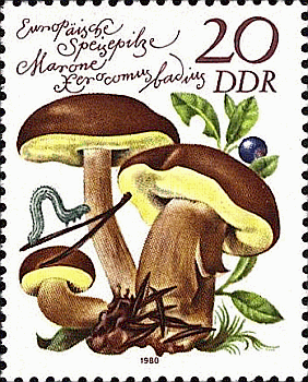 Briefmarke