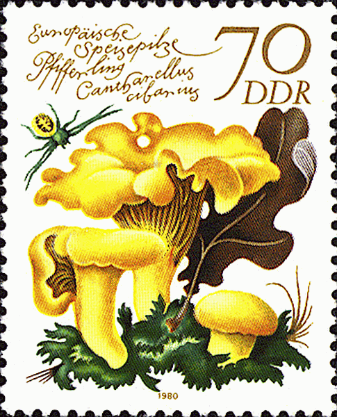 Briefmarke