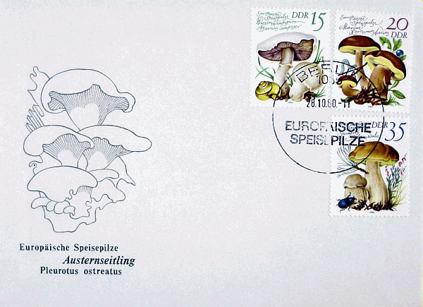 Ersttagsbrief