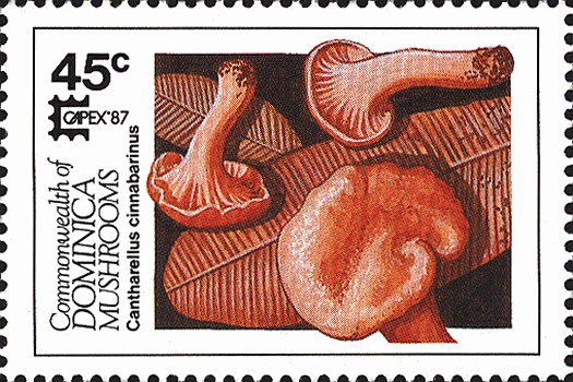Briefmarke
