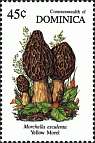 Briefmarke