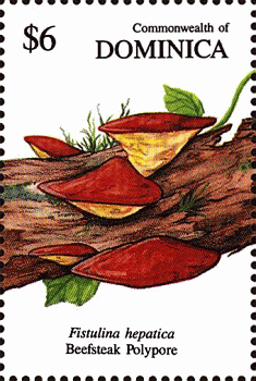 Briefmarke