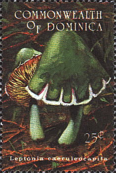 Briefmarke