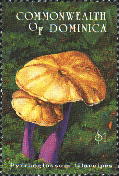 Briefmarke