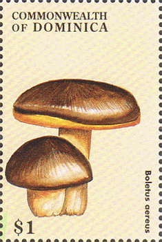 Briefmarke